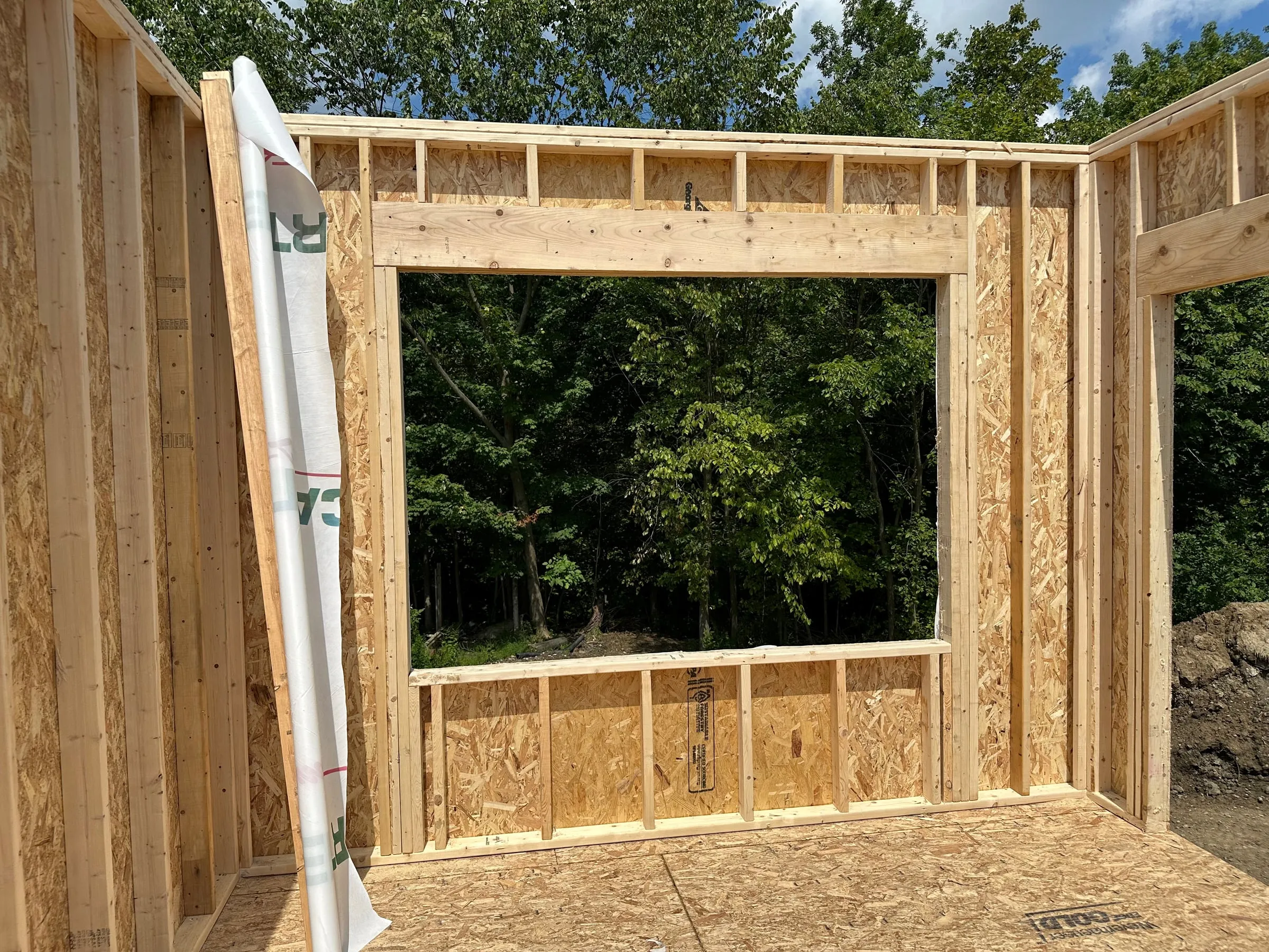 Framed window opening looking out to the trees